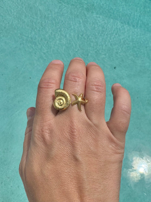 SEASHORE RING